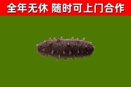 和龙烟酒回收干海参.jpg