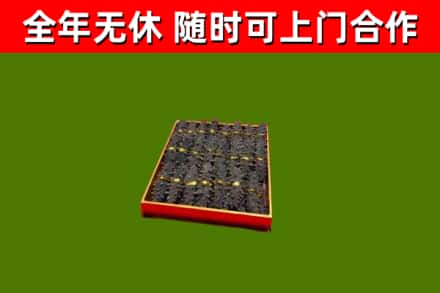 和龙烟酒回收海参.jpg